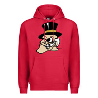 Cardinal wake forest demon deacons Premium Hoodie - linhVisuals