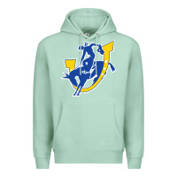 Seafoam southern arkansas magnolia Premium Hoodie - linhVisuals