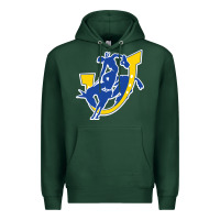 Sports Green southern arkansas magnolia Premium Hoodie - linhVisuals
