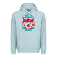 Blue Mist new you'll never walk alone liverpool Premium Hoodie - linhVisuals