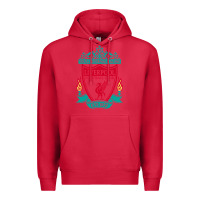 Cardinal new you'll never walk alone liverpool Premium Hoodie - linhVisuals