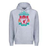 Heather Grey new you'll never walk alone liverpool Premium Hoodie - linhVisuals