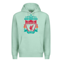 Seafoam new you'll never walk alone liverpool Premium Hoodie - linhVisuals