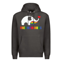 Smoke free mom hugs pride elephant rainbow Premium Hoodie - linhVisuals