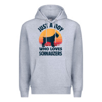 Heather Grey schnauzer just a boy who loves dogs men retro vintage sunset raglan ba Premium Hoodie - linhVisuals
