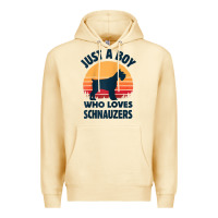 Schnauzer Just A Boy Who Loves Dogs Men Retro Vintage Sunset Raglan Ba Premium Hoodie | Teevron