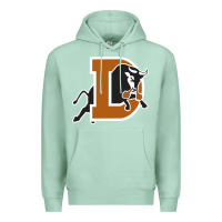 Seafoam Durham-bulls Premium Hoodie - linhVisuals