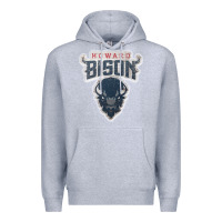 Heather Grey howard bison Premium Hoodie - linhVisuals