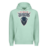 Seafoam howard bison Premium Hoodie - linhVisuals