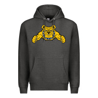 North Carolina A&t Aggies Premium Hoodie | Teevron
