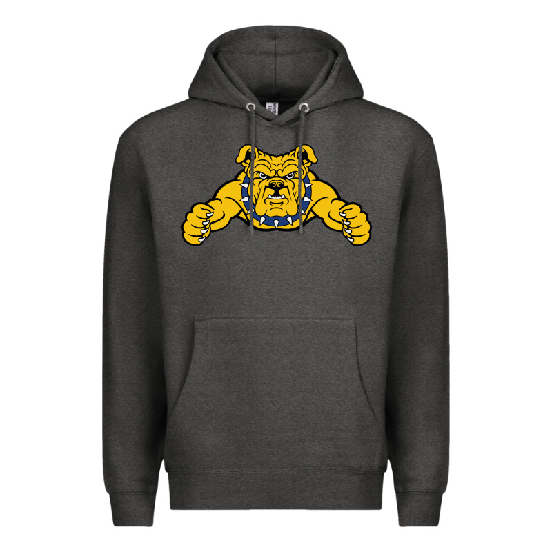North Carolina A&t Aggies Premium Hoodie by linhVisuals | Teevron