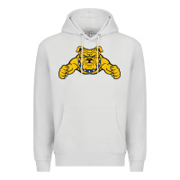 Dove Grey north carolina a&t aggies Premium Hoodie - linhVisuals