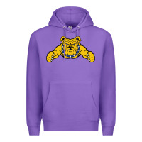 Purple north carolina a&t aggies Premium Hoodie - linhVisuals
