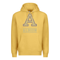 Antique Gold albion college athleticpurple Premium Hoodie - linhVisuals