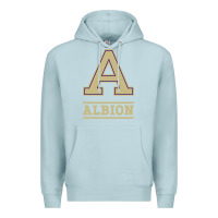 Blue Mist albion college athleticpurple Premium Hoodie - linhVisuals