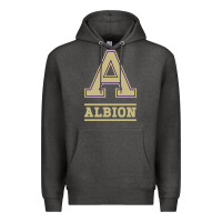 Albion College Athleticpurple Premium Hoodie | Teevron