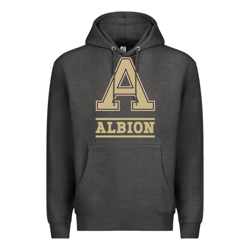 Albion College Athleticpurple Premium Hoodie by linhVisuals | Teevron