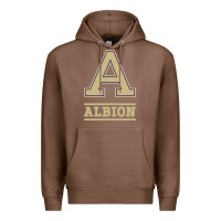 Chestnut albion college athleticpurple Premium Hoodie - linhVisuals