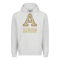 Dove Grey albion college athleticpurple Premium Hoodie - linhVisuals