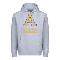 Heather Grey albion college athleticpurple Premium Hoodie - linhVisuals