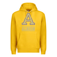 Lemon albion college athleticpurple Premium Hoodie - linhVisuals