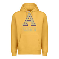 Mustard albion college athleticpurple Premium Hoodie - linhVisuals