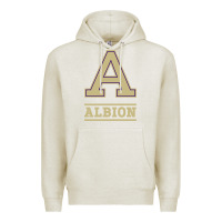 Oatmeal Heather albion college athleticpurple Premium Hoodie - linhVisuals