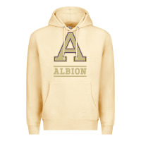 Pina Colada albion college athleticpurple Premium Hoodie - linhVisuals