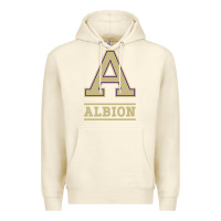 Sandshell albion college athleticpurple Premium Hoodie - linhVisuals