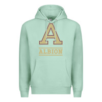 Seafoam albion college athleticpurple Premium Hoodie - linhVisuals