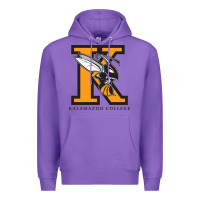 Purple kalamazoo college vectorized Premium Hoodie - linhVisuals