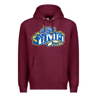 Burgundy university of maine at presque isle vectorized Premium Hoodie - linhVisuals