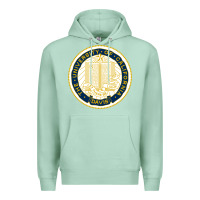 Seafoam university of california, davis Premium Hoodie - linhVisuals