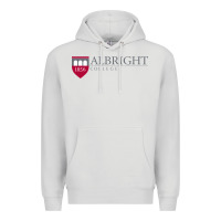 Dove Grey albright college vectorized Premium Hoodie - linhVisuals