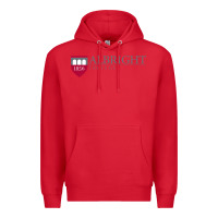 Red albright college vectorized Premium Hoodie - linhVisuals