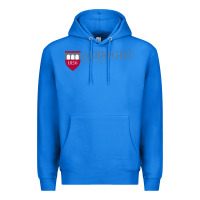True Royal albright college vectorized Premium Hoodie - linhVisuals