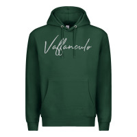 Sports Green vaffanculo essential Premium Hoodie - linhVisuals