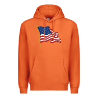 Carrot American flag Premium Hoodie - linhVisuals