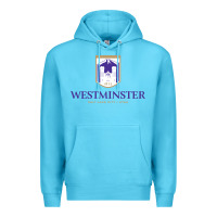 Ocean Blue westminster, sudies in utah Premium Hoodie - linhVisuals