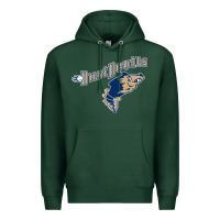 Sports Green tri city dust baseball Premium Hoodie - linhVisuals