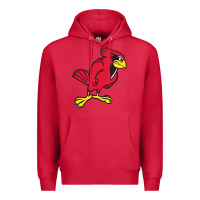 Cardinal illinois state redbirds Premium Hoodie - linhVisuals