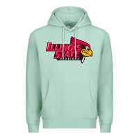 Seafoam illinois state redbirds Premium Hoodie - linhVisuals