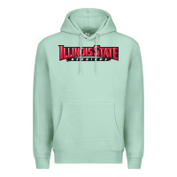 Seafoam illinois state redbirds Premium Hoodie - linhVisuals