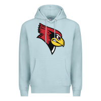 Blue Mist illinois state redbirds Premium Hoodie - linhVisuals