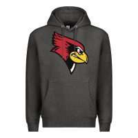 Charcoal Heather illinois state redbirds Premium Hoodie - linhVisuals