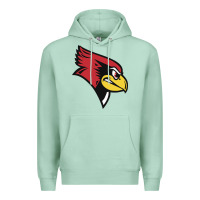 Seafoam illinois state redbirds Premium Hoodie - linhVisuals