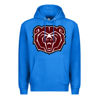 True Royal missouri state bears Premium Hoodie - linhVisuals