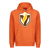 Carrot valparaiso beacons Premium Hoodie - linhVisuals