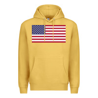 Antique Gold american flag Premium Hoodie - linhVisuals