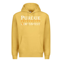 Antique Gold purdue university northwest Premium Hoodie - linhVisuals